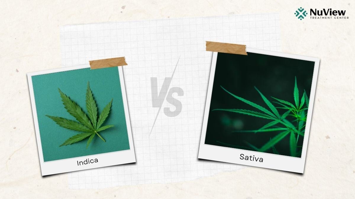 indica-vs-sativa