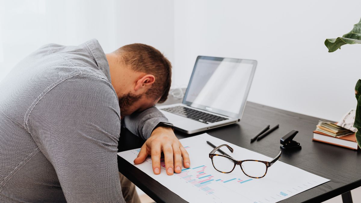 which-program-might-be-right-for-you